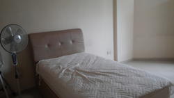 Blk 11 Farrer Park Road (Kallang/Whampoa), HDB 5 Rooms #128932742